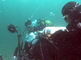 Duikers fotograferen het onderwaterleven